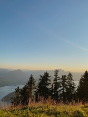 Alpine Forest Overlooking a Lake at Sunrise