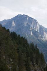 Alpine Peak Overlooking Forested Hillside in the Swiss Alps