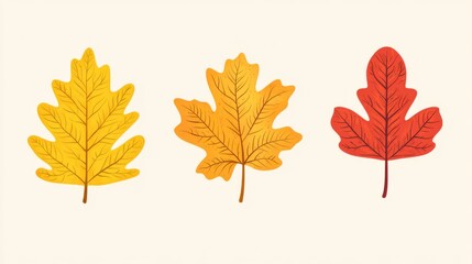 Fototapeta premium Set of autumn leaves from different trees, oak, maple, chestnut. Simple, yellow, red, orange fall leaf set for pattern, banner, sticker, Hello autumn card. Flat vector