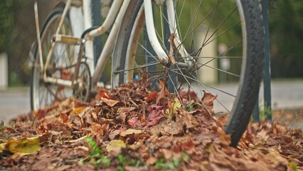 Old Rusty Abandoned Bicycle Covered in Withered Leaves Parked By Bike Stand at City Street