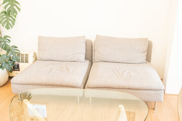 Interior design of open space with gray sofa in modern apartment,tropical plants and elegant personal accessories in stylish home decor. Neutral living room,Template,Copy text space.
