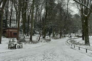 Route pour la promenade sous la neige au parc Josaphat à Schaerbeek (Bruxelles) 