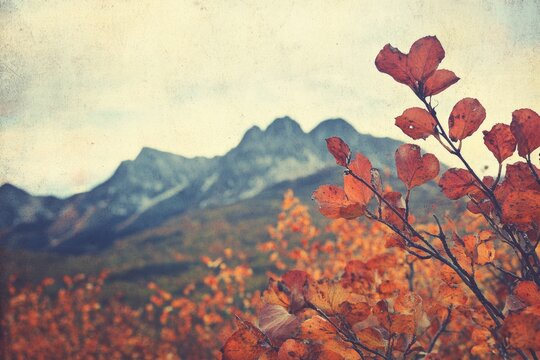 Scenic view of mountains with autumn foliage and trees - Powered by Adobe