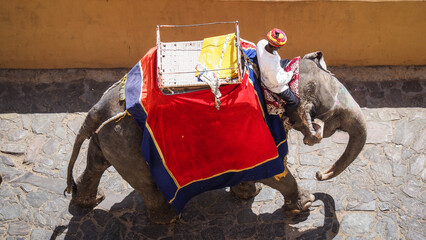 The architecture of Amber Palace near Jaipur in India