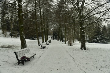 Coin de repos le long d'une promenade sous la neige au parc Josaphat à Schaerbeek (Bruxelles) 