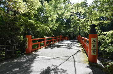 今熊野観音寺　新緑の鳥居橋　京都市東山区泉涌寺山内町