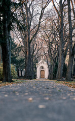 Fototapeta premium Autumn trip to the chapel