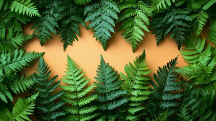 A vibrant arrangement of green ferns against a warm orange background.