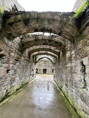 ruins of the ancient castle