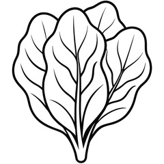 vector art of leaves