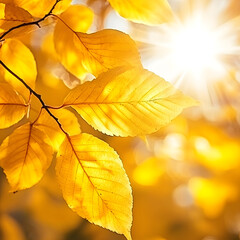 Obraz premium Radiant Yellow Ray Flower Leaves Illuminating a Soft Sunlight Background, Symbolizing Regeneration and Optimism