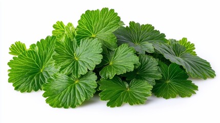 Lush pile of vibrant green leaves isolated on white.