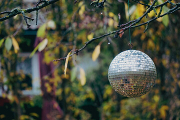 A disco ball hanging from a tree