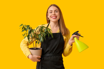 Beautiful young woman with water sprayer and houseplant on yellow background
