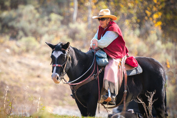 Fototapeta premium Senior woman in pink western outfit riding a black horse in the sagebrush and aspen trees in Wyoming