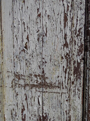 Close-up of old wooden door with old paint cracking and peeling off. Peeled paint flakes on wood