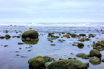 Green moss with brown kelp covered sea rocks and boulders in tidal waters of Old Man's Surfing Park, San Diego, California