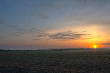 Beautiful sunrise on a meadow in the mountains. HDR style.