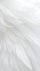 Obraz premium Beautiful white feather wooly pattern texture background, isometry