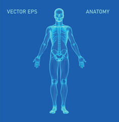A futuristic depiction of the human body, rendered as a polygonal wireframe silhouette on a vivid blue background. This abstract low-poly illustration captures the essence of modern digital aesthetics
