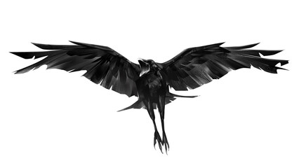 sketch raven bird. bird in flight on a white background