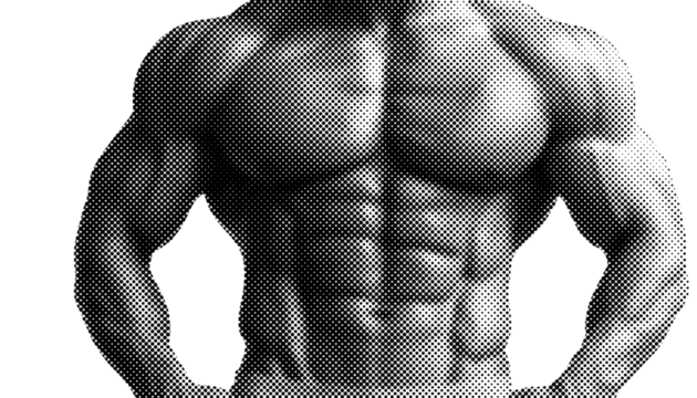 male torso