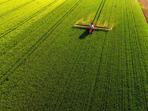 Drone shot of a red tractor applying treatment to wheat crops in vast farmland