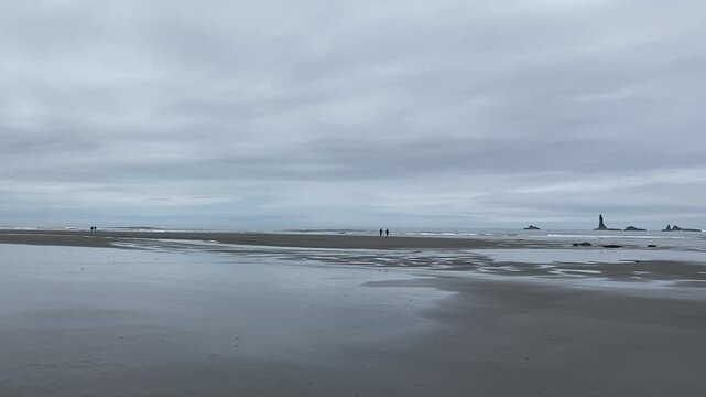 cloudy beach day at low tide