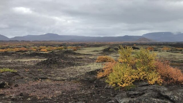 autumn landscape in lava field