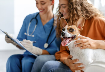 Female owner smiling with her happy Jack Russell Terrier at the vet's office, while veterinarian writing on clipboard, capturing moment of care and trust between pet, owner, and doctor