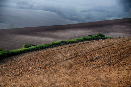Terre seminate - Gavazzana - Alessandria - Piemonte - Italia
