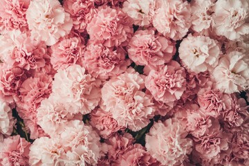 A close-up image of a pink and white carnation flower bouquet.
