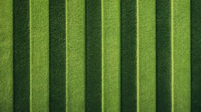 Green grass seamless texture on striped sport field. Astro turf pattern. Carpet or lawn top view. Baseball, soccer, football or golf game. Fake plastic or fresh ground for game play Video