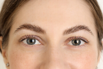 Beautiful woman after lash laminating and tinting procedure on light background, closeup