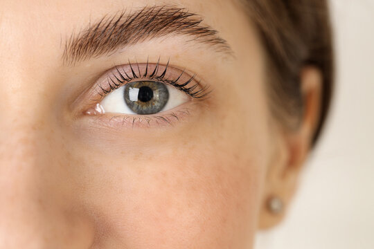 Beautiful woman after lash laminating and tinting procedure on light background, closeup