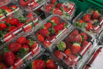 Fresh strawberry at small local urban market. Organic produce on sale at outdoor farmer market. Selling fresh crops and veggies harvest. European urban setting. Close up. Part of the series