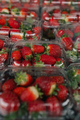 Fresh strawberry at small local urban market. Organic produce on sale at outdoor farmer market....