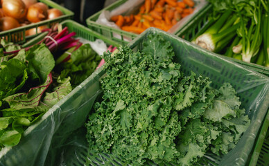Fresh greens and lettuce at small local urban market. Organic produce on sale at outdoor farmer...