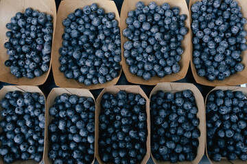 Fresh blueberry at small local urban market. Organic produce on sale at outdoor farmer market. Selling fresh crops and veggies harvest. European urban setting. Close up. Part of the series