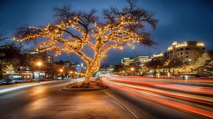 Fototapeta premium Softly Glowing City Tree Wrapped in Lights at Evening