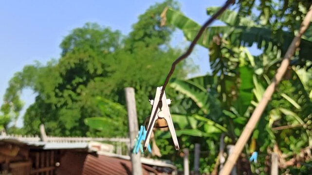 clothespin in the yard