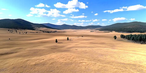 Obraz premium Golden Fields Under Vast Sky: A breathtaking aerial perspective of a vast, golden field stretching towards a horizon under a clear blue sky with fluffy clouds.