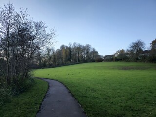 A grassy field with a path going through it