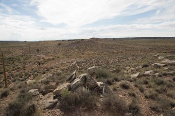 desert view