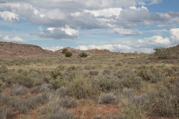 desert view