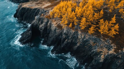 Aerial view of a rocky coastline with a grove of golden trees.
