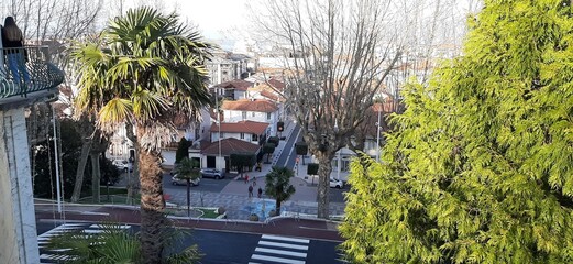 Arcachon 