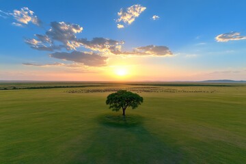 A stunning aerial view of the Serengeti plains at sunset, with a herd of wildebeests migrating across the golden grasslands