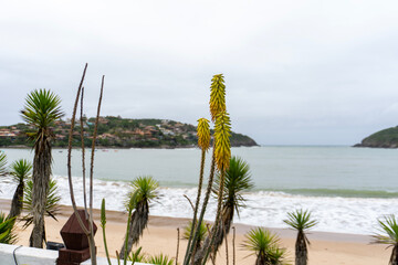 Paisaje tropical proximo a la playa de buzios