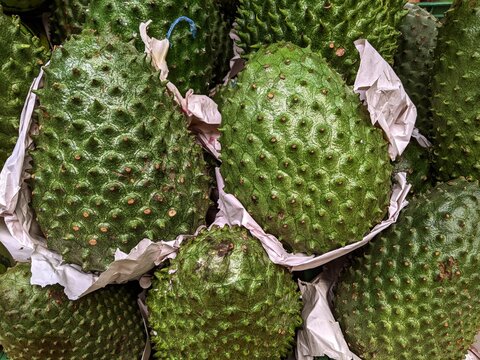 Fresh soursop, annona muricata or Colombian guanabana in a farmers produce market in Medellin, Colombia, South America